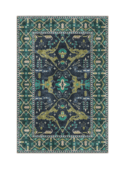 Bagicha Rug